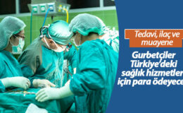 Gurbetçilerin Türkiye’deki Sağlık ve Tedavi İşlemleri Nasıl Yapılıyor?
