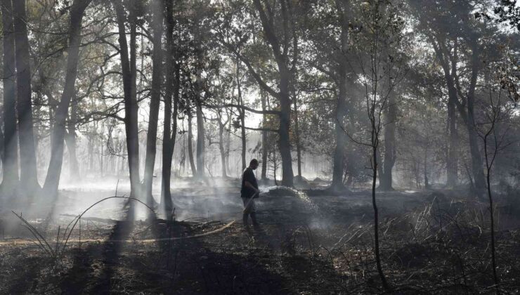 Fransa’da 3 bin 600 hektar ormanlık alan küle döndü